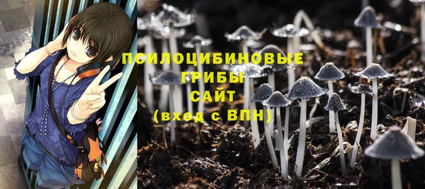 тгк Беломорск