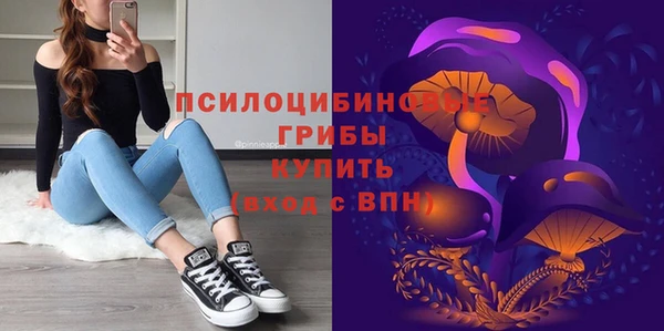 МДМА Белокуриха